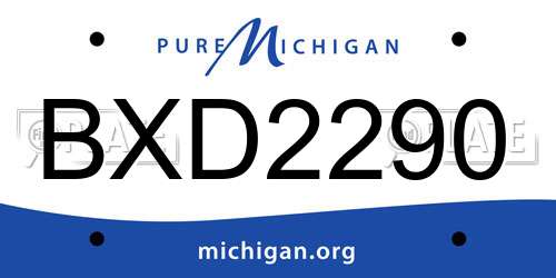 BXD2290 Michigan License Plate