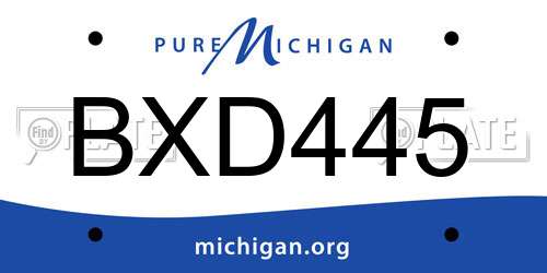 BXD445 Michigan License Plate