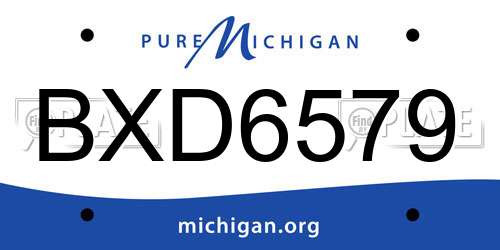 BXD6579 Michigan License Plate