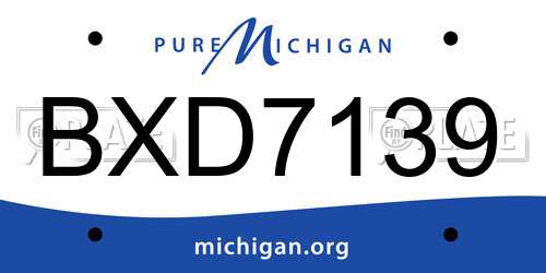 BXD7139 Michigan License Plate