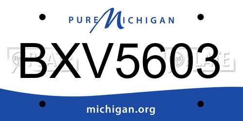 BXV5603 Michigan License Plate