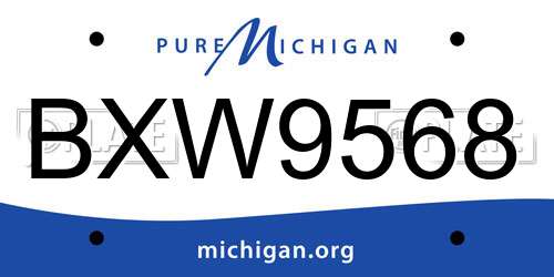 BXW9568 Michigan License Plate