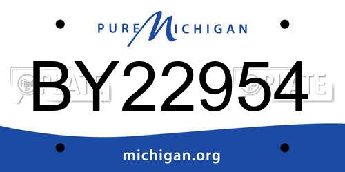 BY22954 Michigan License Plate