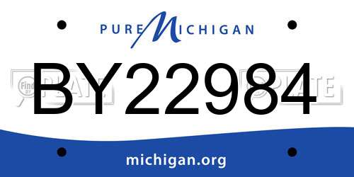 BY22984 Michigan License Plate