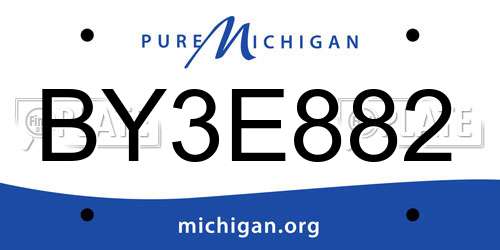 BY3E882 Michigan License Plate