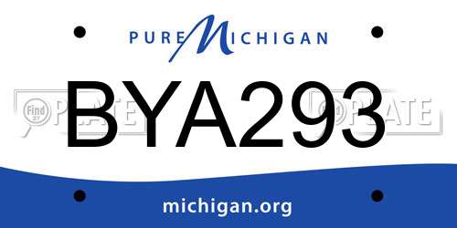 BYA293 Michigan License Plate