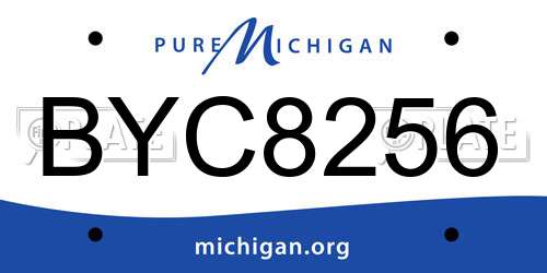 BYC8256 Michigan License Plate