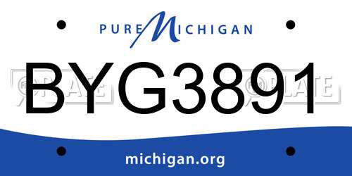 BYG3891 Michigan License Plate