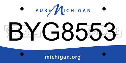 BYG8553 Michigan License Plate