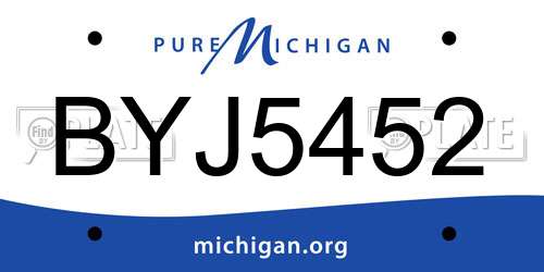 BYJ5452 Michigan License Plate