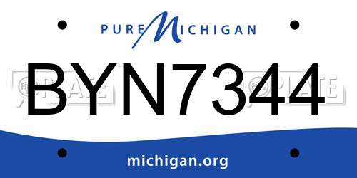 BYN7344 Michigan License Plate