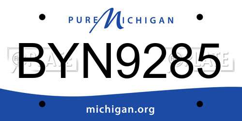 BYN9285 Michigan License Plate
