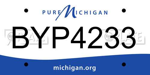 BYP4233 Michigan License Plate