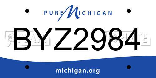 BYZ2984 Michigan License Plate