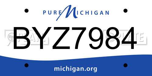 BYZ7984 Michigan License Plate