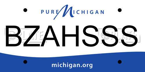 BZAHSSS Michigan License Plate