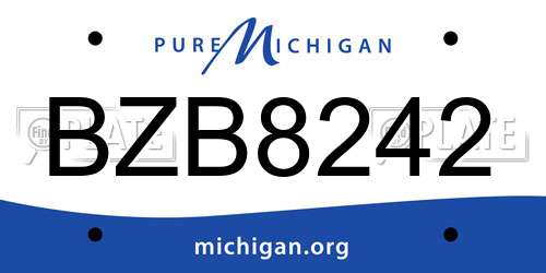 BZB8242 Michigan License Plate