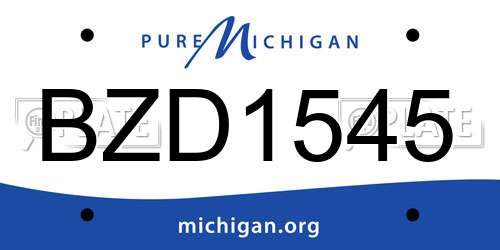 BZD1545 Michigan License Plate