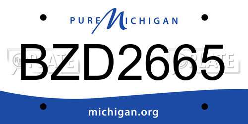 BZD2665 Michigan License Plate