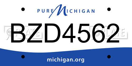 BZD4562 Michigan License Plate