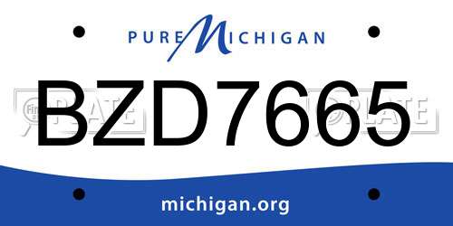 BZD7665 Michigan License Plate