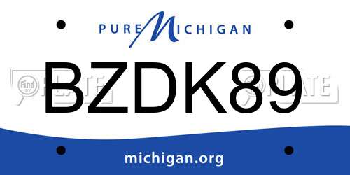 BZDK89 Michigan License Plate