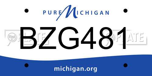 BZG481 Michigan License Plate