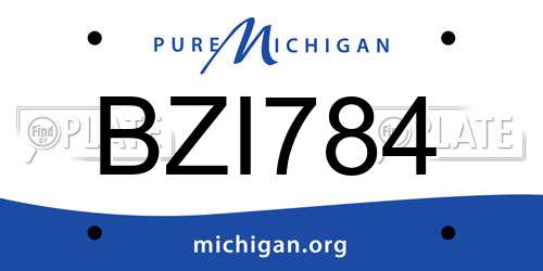BZI784 Michigan License Plate