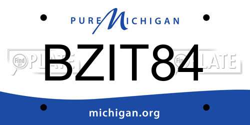 BZIT84 Michigan License Plate