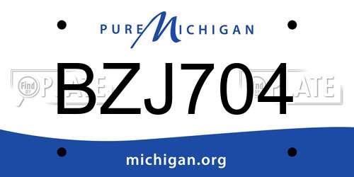 BZJ704 Michigan License Plate