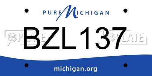 BZL137 Michigan License Plate