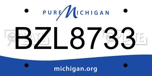 BZL8733 Michigan License Plate