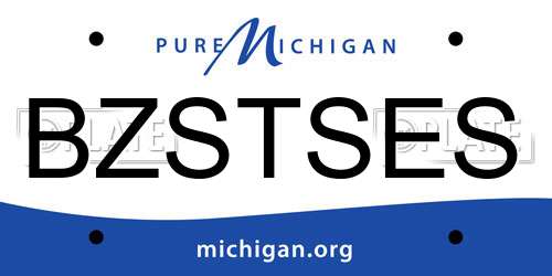 BZSTSES Michigan License Plate