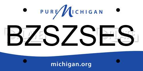 BZSZSES Michigan License Plate