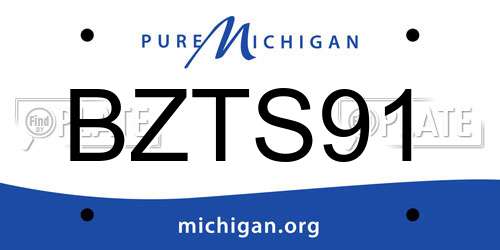 BZTS91 Michigan License Plate