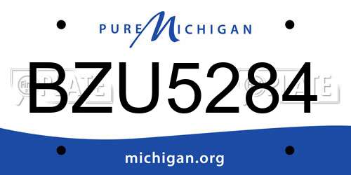 BZU5284 Michigan License Plate