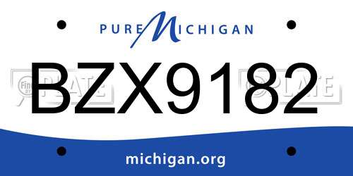 BZX9182 Michigan License Plate