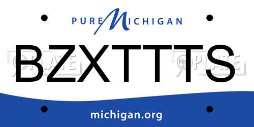 BZXTTTS Michigan License Plate