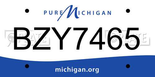 BZY7465 Michigan License Plate