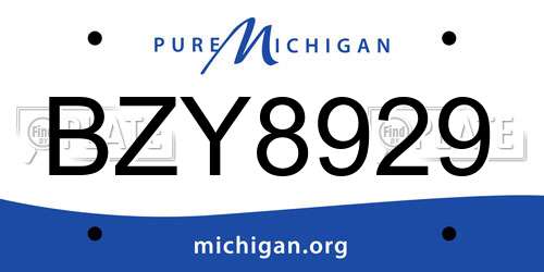 BZY8929 Michigan License Plate