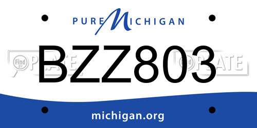 BZZ803 Michigan License Plate