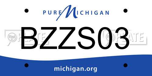 BZZS03 Michigan License Plate