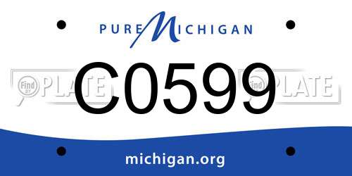 C0599 Michigan License Plate