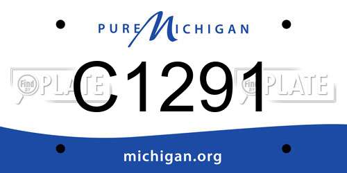 C1291 Michigan License Plate