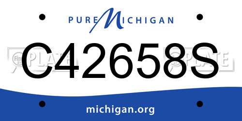C42658S Michigan License Plate
