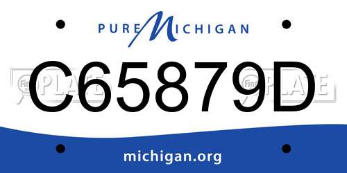 C65879D Michigan License Plate