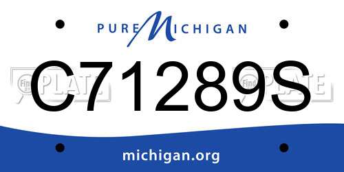C71289S Michigan License Plate