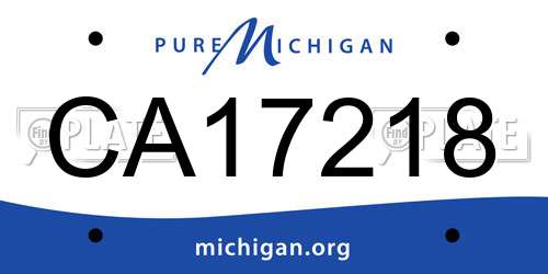 CA17218 Michigan License Plate