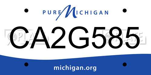 CA2G585 Michigan License Plate