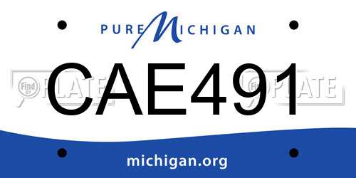 CAE491 Michigan License Plate